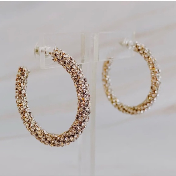 Pave Bing Hoop Earrings - Picture 1 of 2
